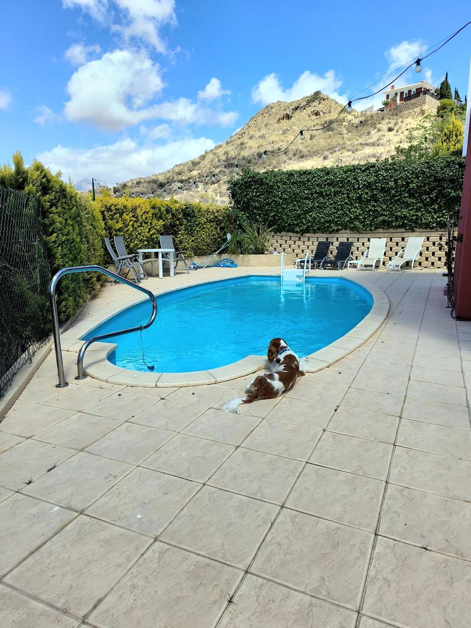 Villa Alicante - Bonalba Golf Мучамель Экстерьер фото